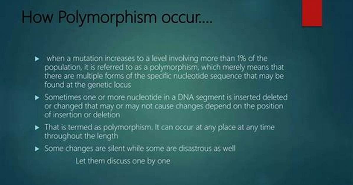 Where Does Polymorphism Occur?