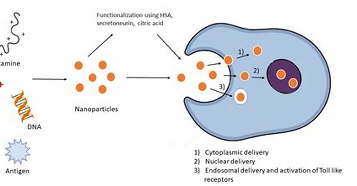 Where Does Protamine Come from?