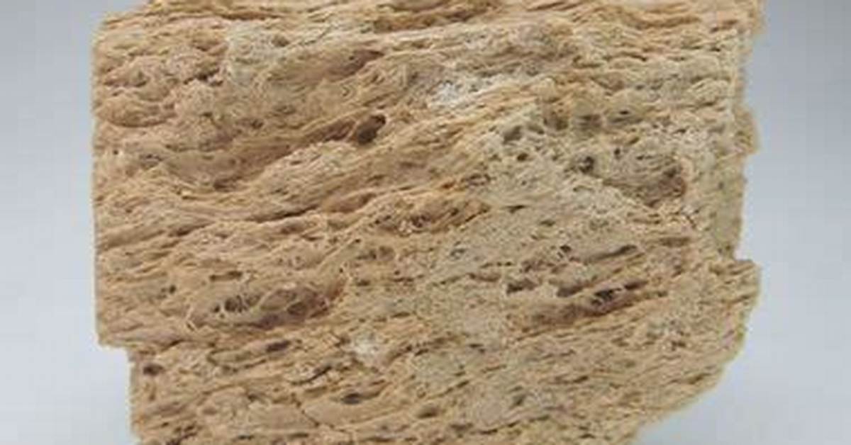 Where Does Pumice Solidify?
