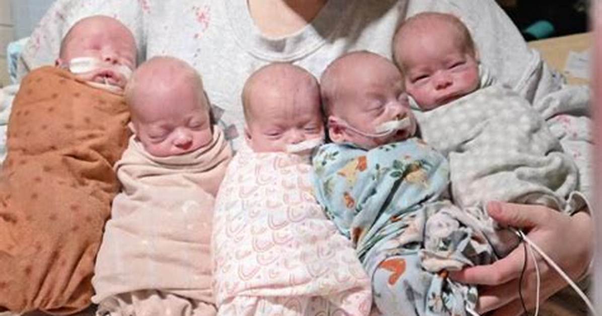 Where Does Quintuplets Live?