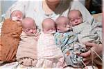 Where Does Quintuplets Live?