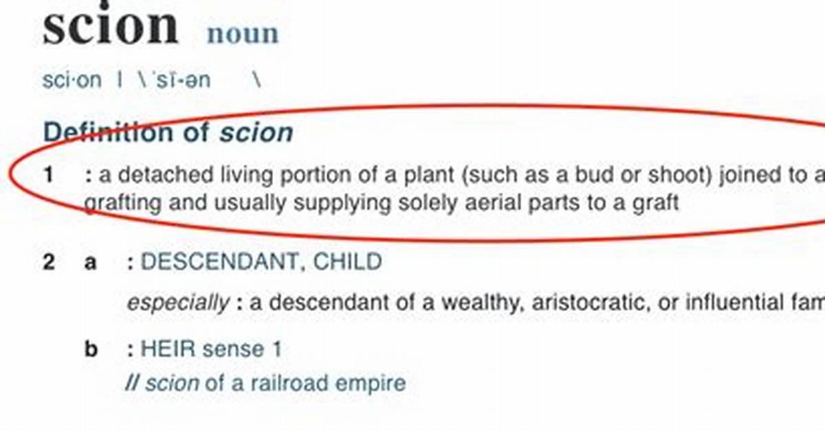 Where Does Scion Mean?