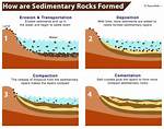 Where Does Sedimentation Occur?