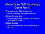 Where Does Self Knowledge Derived?