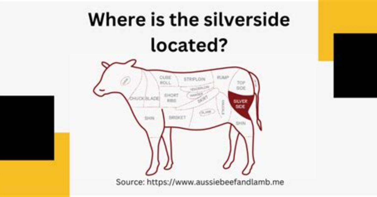 Where Does Silverside Come from?