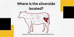 Where Does Silverside Come from?