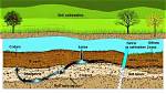 Where Does Soil Salinization Occur?