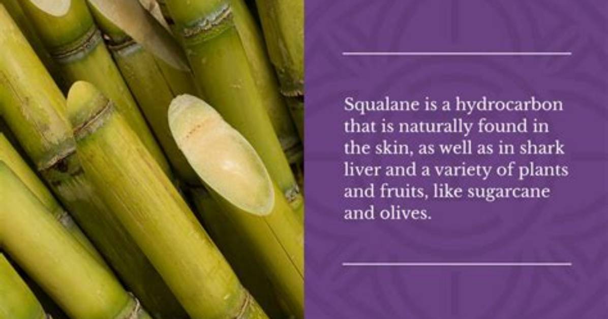 Where Does Squalane Come from?