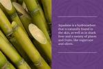 Where Does Squalane Come from?