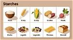Where Does Starch Come from?
