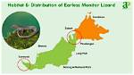 Where Does the Earless Lizard Live?