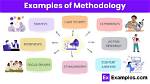 Where Does the Word Methodically Come from?