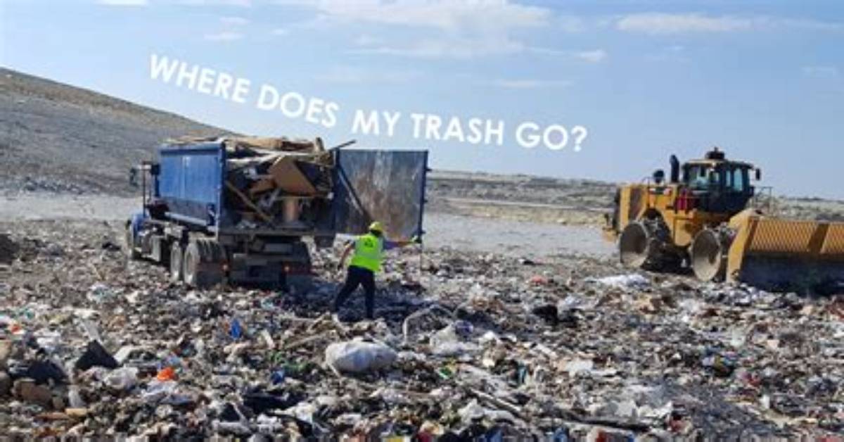 Where Does Trash Come from?