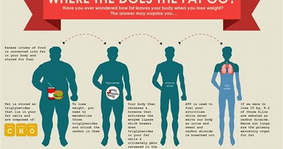 Where Does Undigested Fat Go?