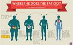 Where Does Undigested Fat Go?