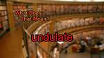 Where Does Undulate Come from?