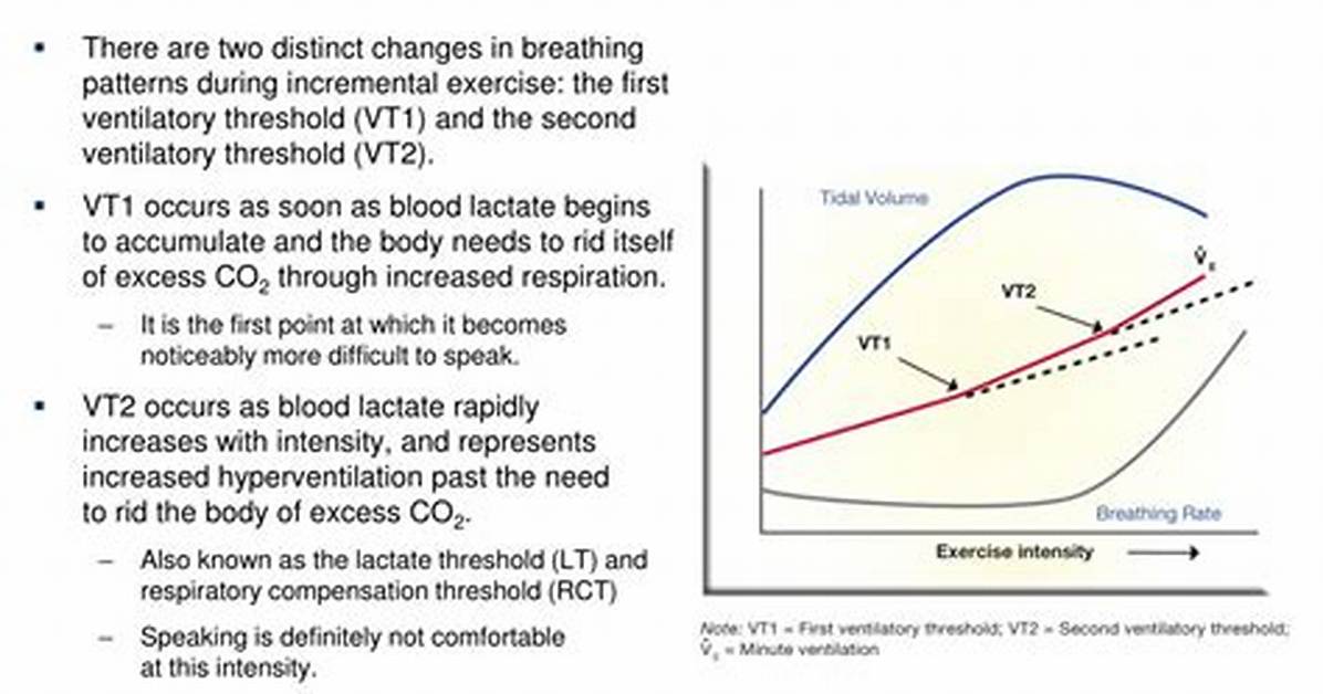 Where Does Ventilatory Threshold Occur?