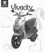 Where Does Vivacity Come from?