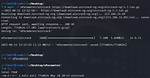 Where Does Wget Save Files in Linux?