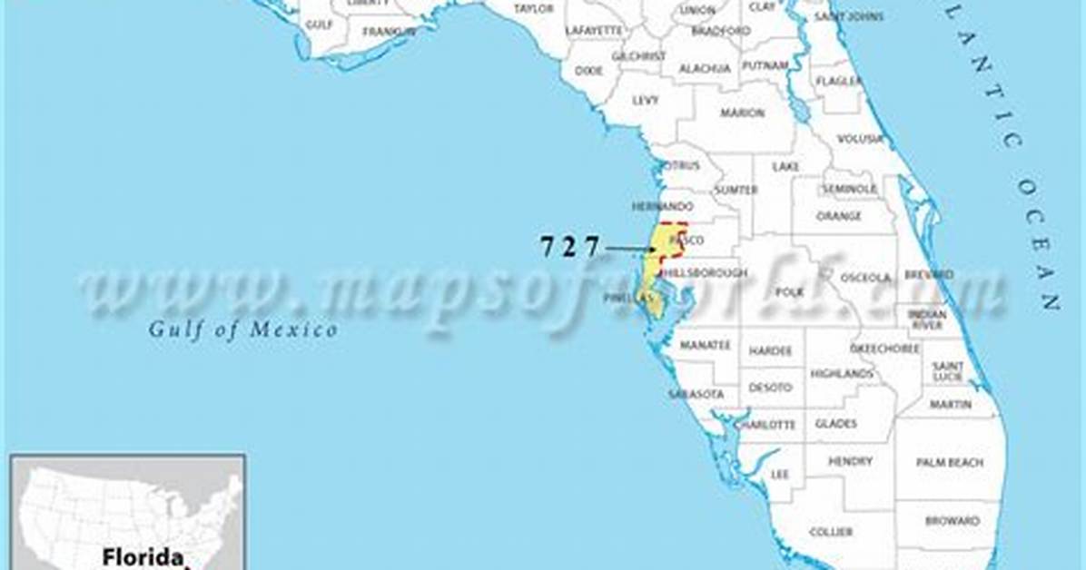 Where Is 727 Area Code