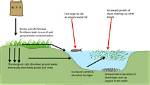 Where Is Artificial Eutrophication?