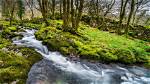 Where Is Babbling Brook?