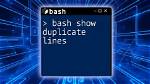 Where Is. Bash_Profile? [Duplicate]