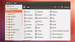Where Is Bin Folder in Linux?