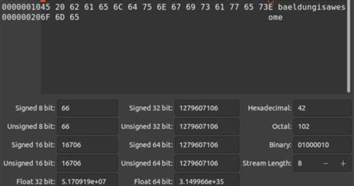 Where Is Binary File in Linux?