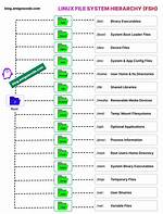 Where Is Binary Located in Linux?