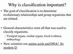 Where Is Classification Important?