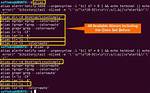 Where Is Command Alias Stored in Linux?