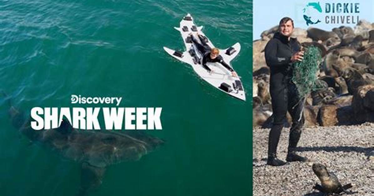 Where Is Dickie Chivell from Shark Week from? Background Story and More