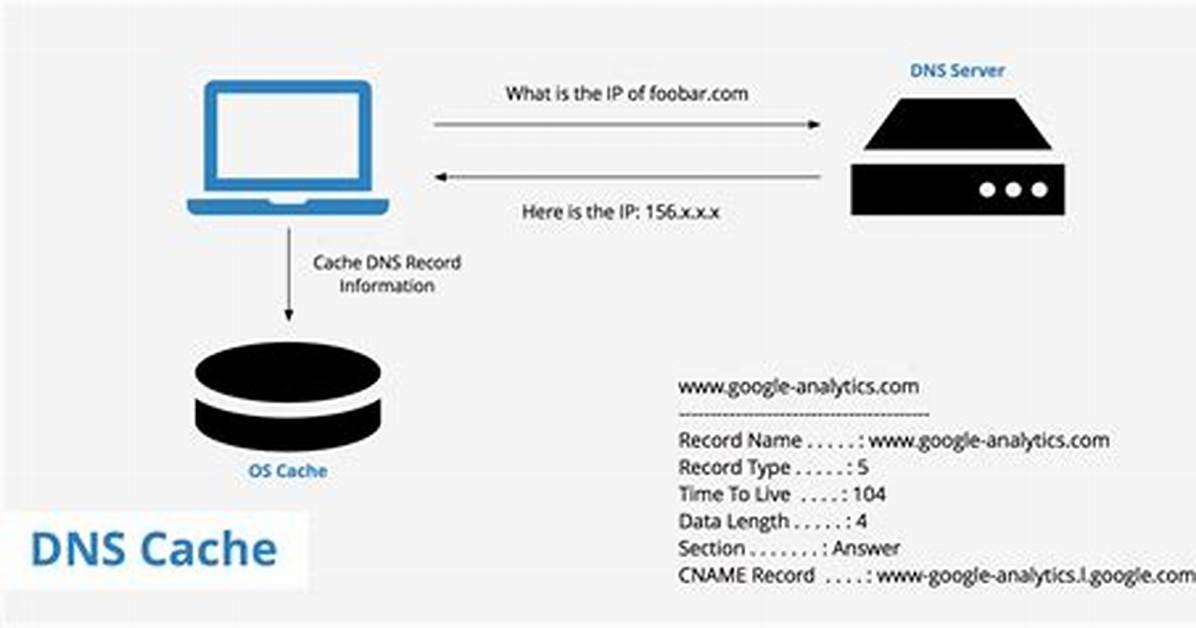 Where Is Dns Resolver Cache Located?