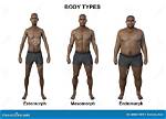 Where Is Endomorph Found?