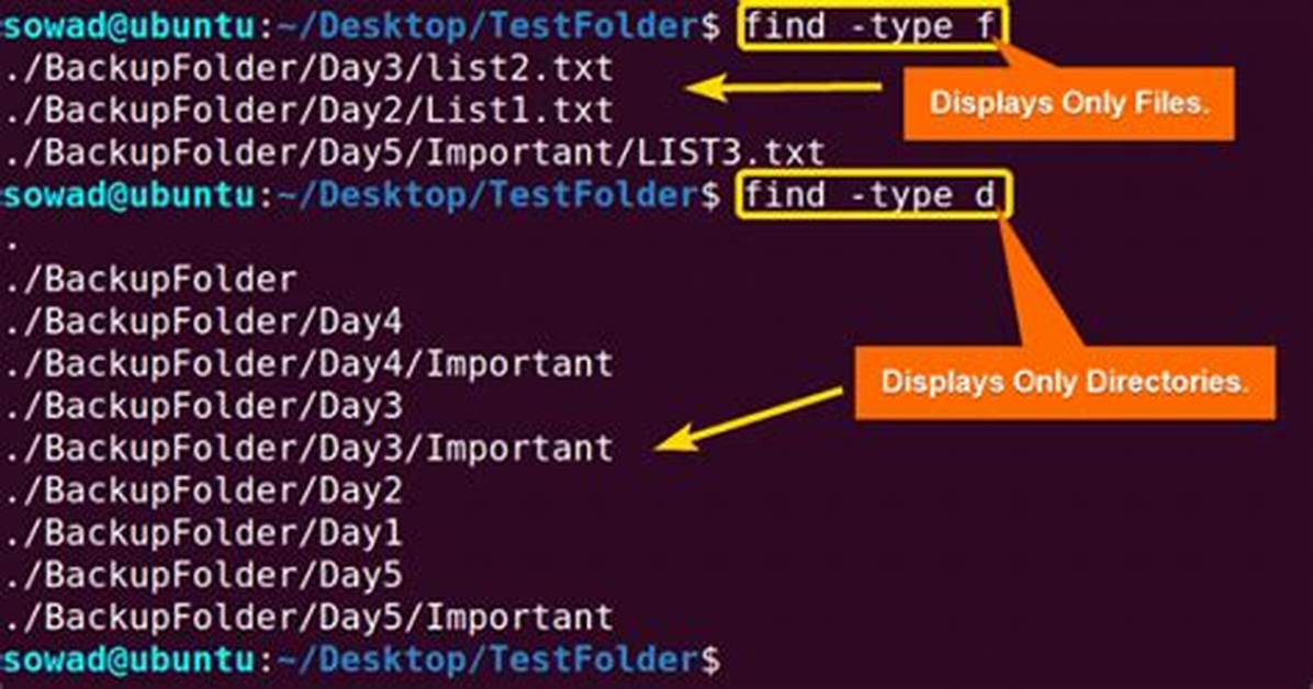Where Is Find Command in Linux?