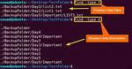 Where Is Find Command in Linux?