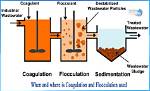Where Is Flocculation Found?