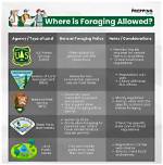 Where Is Foraging Allowed?