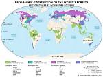 Where Is Forest Located?