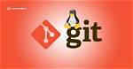 Where Is Git Located on Linux?