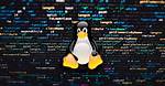 Where Is in Linux?