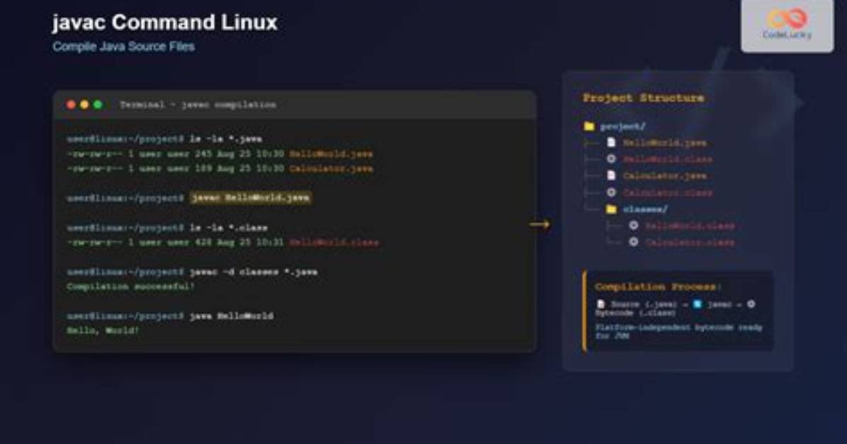 Where Is Java Command in Linux?
