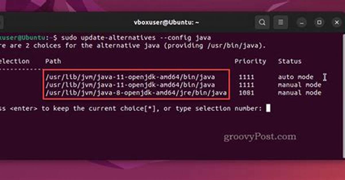 Where Is Java Located in Ubuntu?