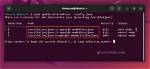 Where Is Java Located in Ubuntu?