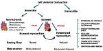 Where Is Left Ventricular Dysfunction?