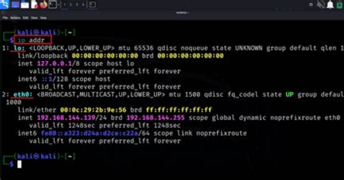 Where Is My Network Interface Linux?