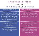 Where Is Non Executable File in Linux?