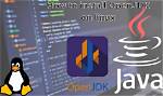 Where Is Openjdk Path in Linux?