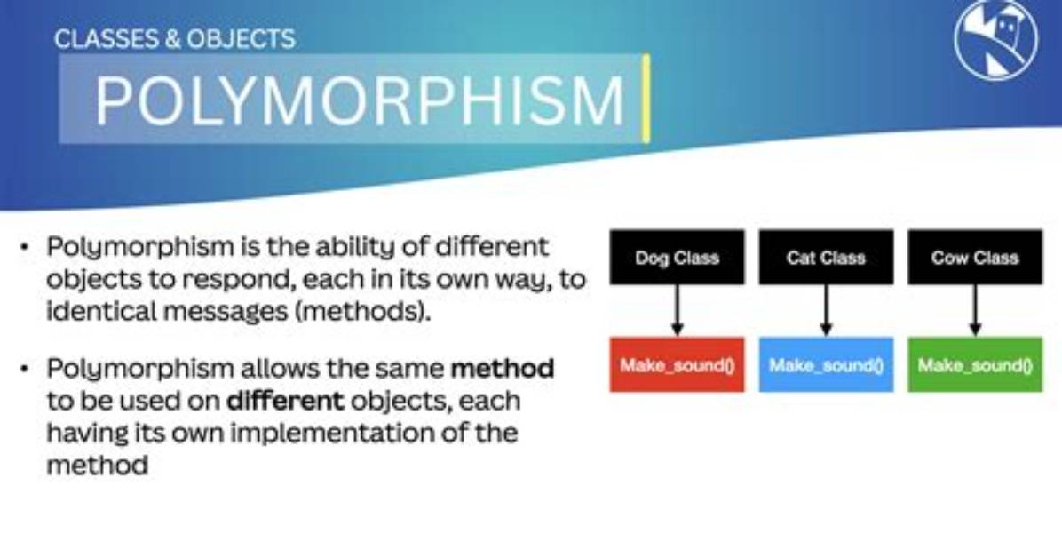 Where Is Polymorphism Used